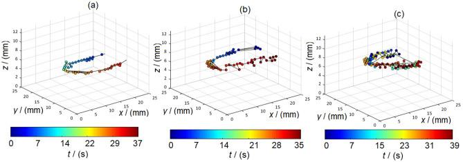 https://cdn.ncbi.nlm.nih.gov/pmc/blobs/7354/10879211/f3c98b7cc711/41598_2024_54784_Fig7_HTML.jpg