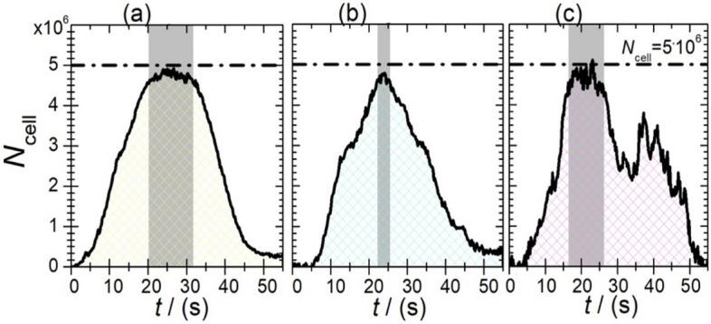 https://cdn.ncbi.nlm.nih.gov/pmc/blobs/7354/10879211/fd82cb195901/41598_2024_54784_Fig5_HTML.jpg