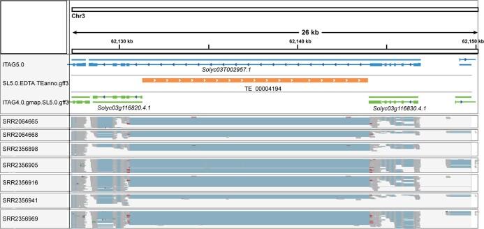 https://cdn.ncbi.nlm.nih.gov/pmc/blobs/7354/9200638/34dba19752de/41586_2022_4808_Fig10_ESM.jpg
