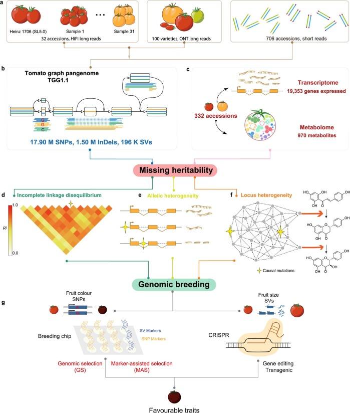 https://cdn.ncbi.nlm.nih.gov/pmc/blobs/7354/9200638/d1b455404944/41586_2022_4808_Fig5_ESM.jpg