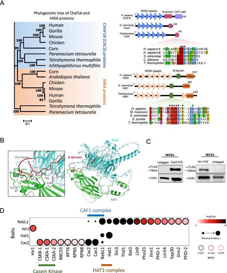 https://cdn.ncbi.nlm.nih.gov/pmc/blobs/7356/10080907/def61122a002/13072_2023_484_Fig2_HTML.jpg