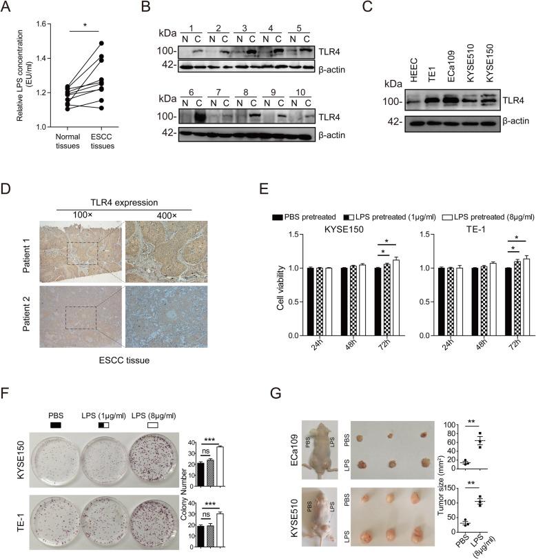 https://cdn.ncbi.nlm.nih.gov/pmc/blobs/7356/6998358/02d91644c463/12964_2020_510_Fig1_HTML.jpg