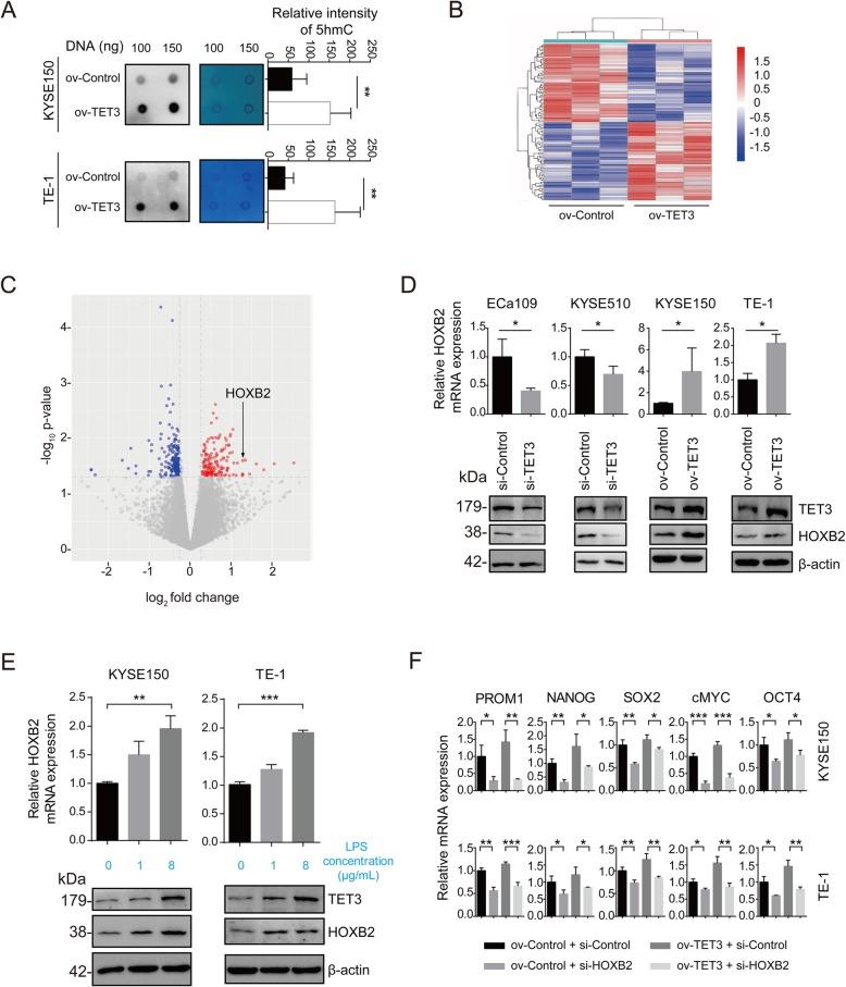https://cdn.ncbi.nlm.nih.gov/pmc/blobs/7356/6998358/633f9e9b1aae/12964_2020_510_Fig5_HTML.jpg