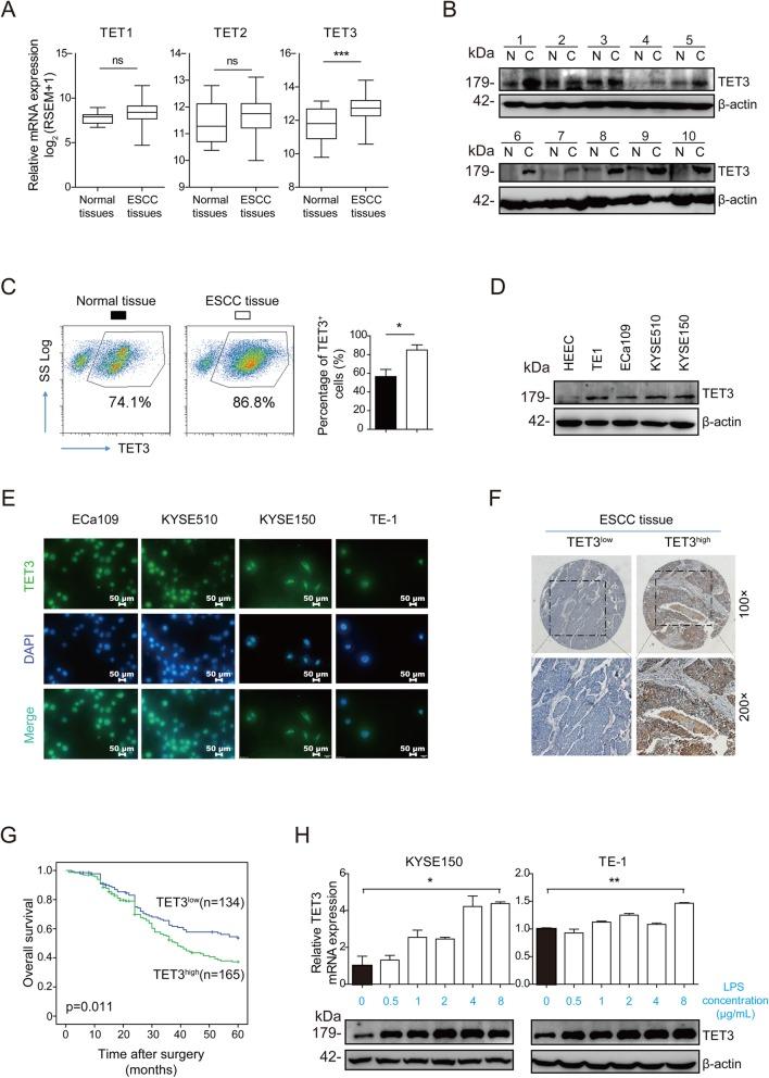 https://cdn.ncbi.nlm.nih.gov/pmc/blobs/7356/6998358/99a021b126e6/12964_2020_510_Fig3_HTML.jpg