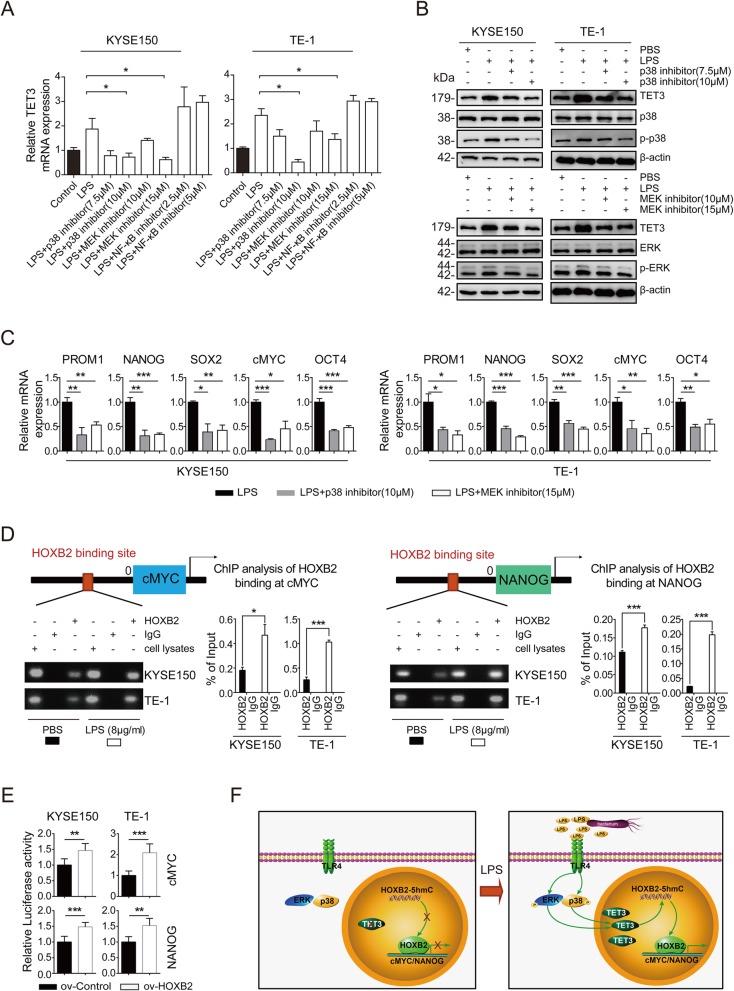 https://cdn.ncbi.nlm.nih.gov/pmc/blobs/7356/6998358/b674aa888f11/12964_2020_510_Fig6_HTML.jpg