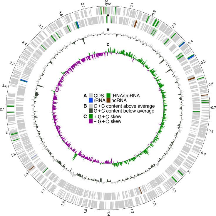 https://cdn.ncbi.nlm.nih.gov/pmc/blobs/7357/12321486/3b3c0fee0806/mgen-11-01463-g002.jpg