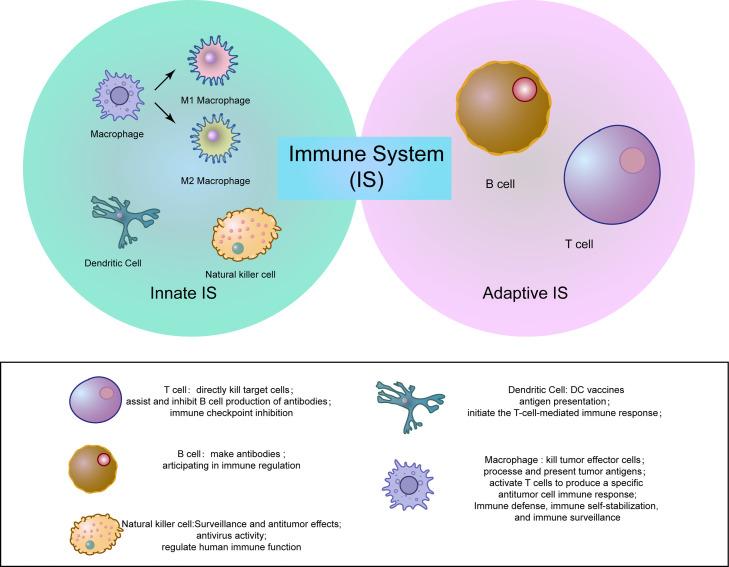 https://cdn.ncbi.nlm.nih.gov/pmc/blobs/7359/10277580/2c55c4889740/gr1.jpg