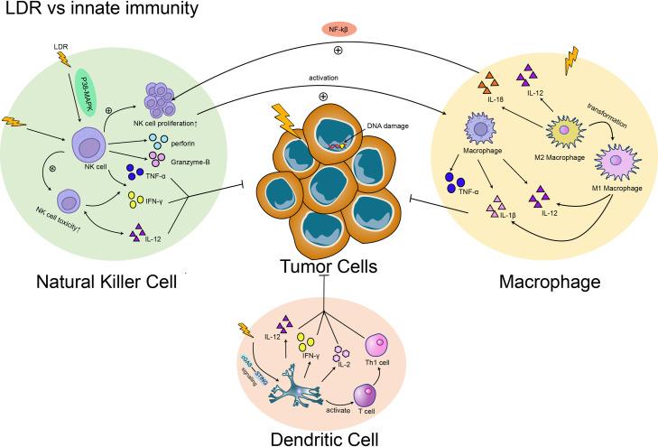 https://cdn.ncbi.nlm.nih.gov/pmc/blobs/7359/10277580/a9c59c7381b3/gr3.jpg