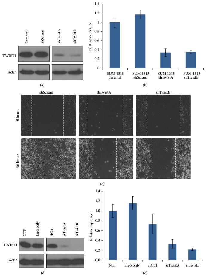 https://cdn.ncbi.nlm.nih.gov/pmc/blobs/7359/4339717/f554e85f7d76/BMRI2015-382745.002.jpg