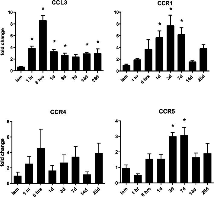 https://cdn.ncbi.nlm.nih.gov/pmc/blobs/7359/7694914/19d0a16958d0/12974_2020_2037_Fig1_HTML.jpg