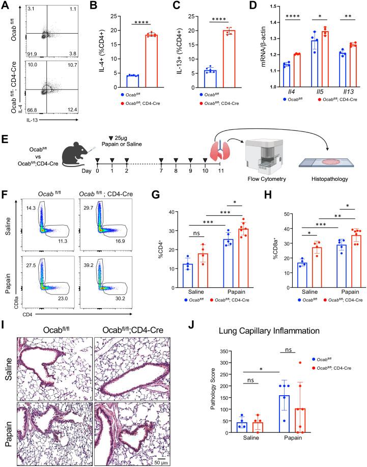 https://cdn.ncbi.nlm.nih.gov/pmc/blobs/735a/12069319/c70e8d02cd83/fimmu-16-1548636-g004.jpg