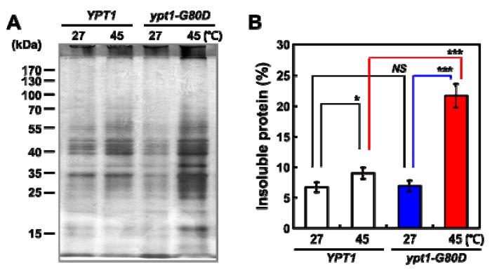 https://cdn.ncbi.nlm.nih.gov/pmc/blobs/735b/6337079/6d41bccbd446/ijms-20-00132-g002.jpg