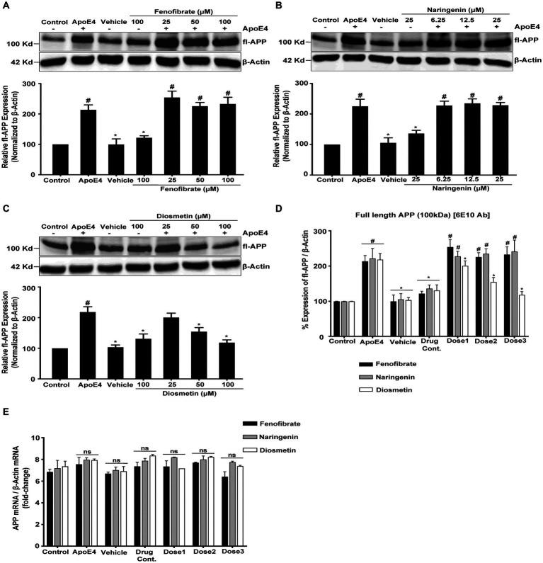 https://cdn.ncbi.nlm.nih.gov/pmc/blobs/735c/10777729/3567a5241812/fnins-17-1245895-g002.jpg