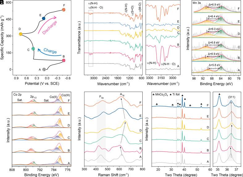 https://cdn.ncbi.nlm.nih.gov/pmc/blobs/735c/11406291/74e2114c79b6/pnas.2409201121fig04.jpg