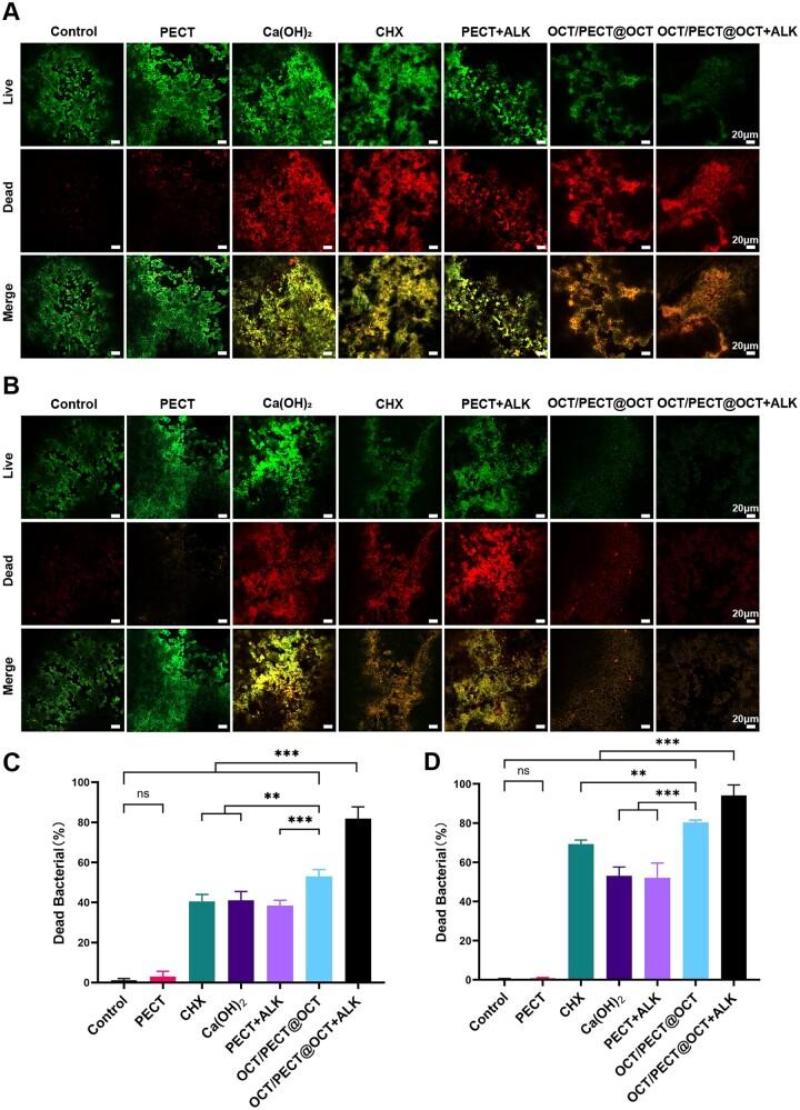 https://cdn.ncbi.nlm.nih.gov/pmc/blobs/735d/11007118/ea376c612a22/rbae031f7.jpg