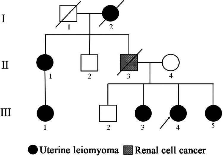 https://cdn.ncbi.nlm.nih.gov/pmc/blobs/735d/11063639/9c9476dcaa4d/gr1.jpg