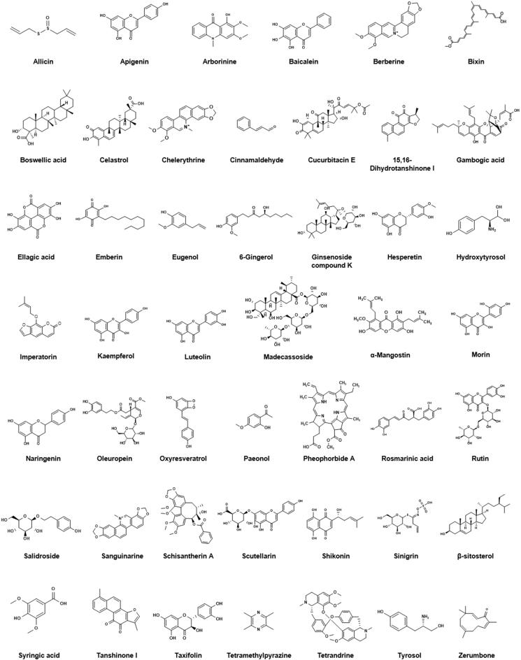 https://cdn.ncbi.nlm.nih.gov/pmc/blobs/7360/8892098/0d1a83d37296/gr12.jpg