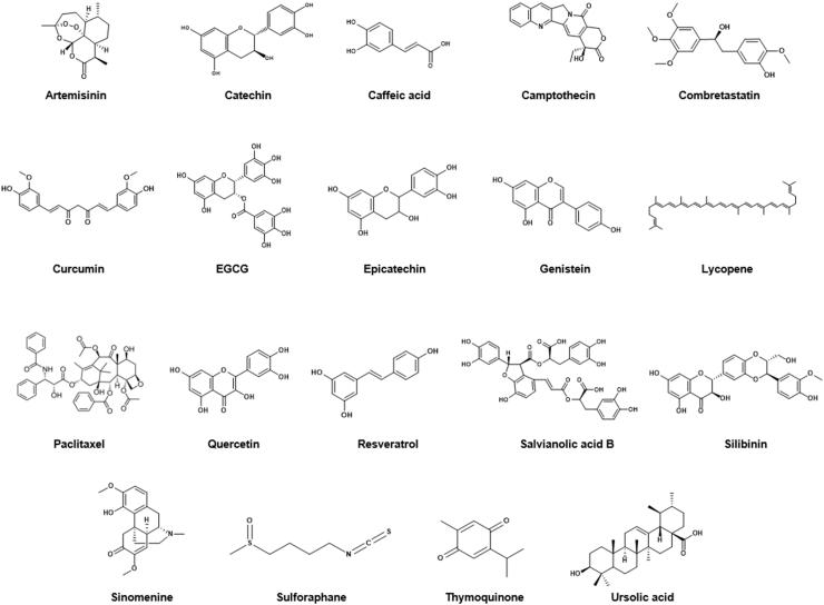 https://cdn.ncbi.nlm.nih.gov/pmc/blobs/7360/8892098/4143f81f6539/gr1.jpg