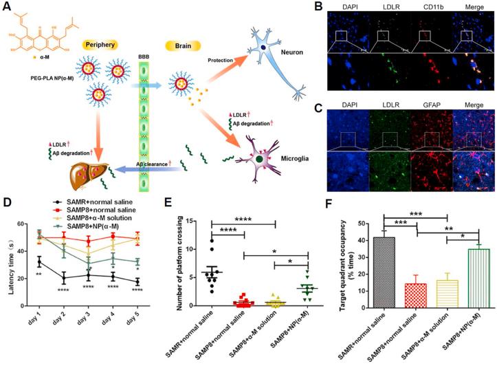 https://cdn.ncbi.nlm.nih.gov/pmc/blobs/7360/8892098/90aca8f5d067/gr10.jpg