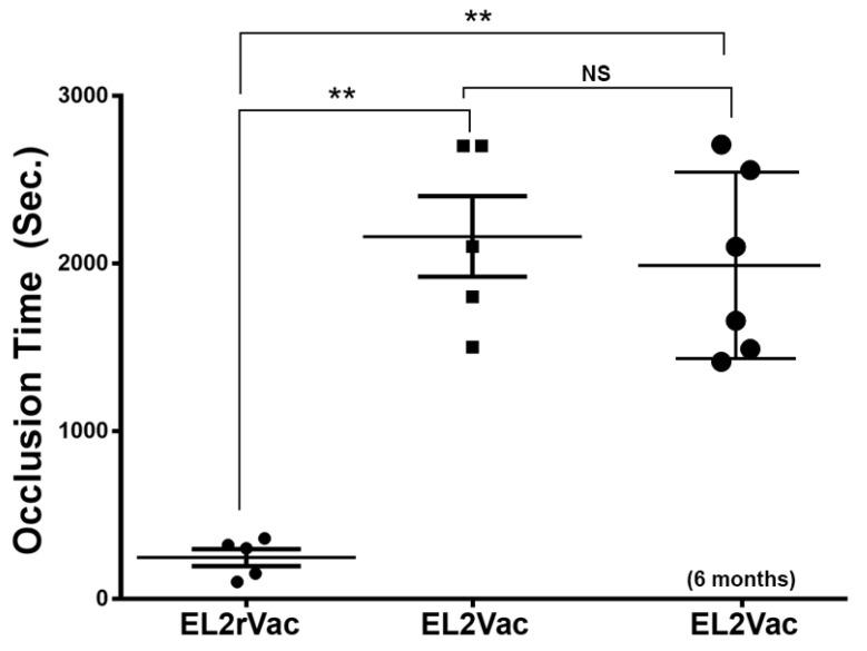 https://cdn.ncbi.nlm.nih.gov/pmc/blobs/7361/12072916/1c44db0284d6/ijms-26-04383-g005.jpg