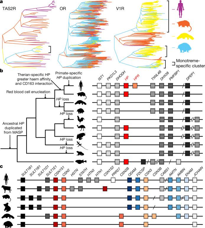 https://cdn.ncbi.nlm.nih.gov/pmc/blobs/7364/8081666/1606b979f525/41586_2020_3039_Fig4_HTML.jpg