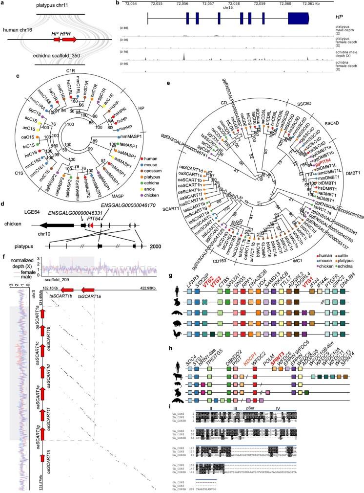 https://cdn.ncbi.nlm.nih.gov/pmc/blobs/7364/8081666/2c558fb71a09/41586_2020_3039_Fig14_ESM.jpg