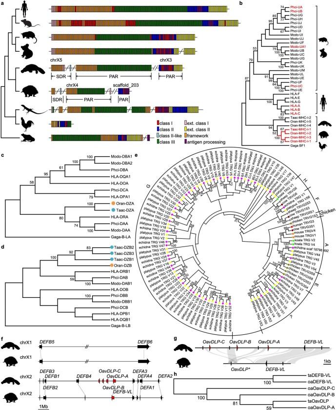 https://cdn.ncbi.nlm.nih.gov/pmc/blobs/7364/8081666/6fdbfae62512/41586_2020_3039_Fig7_ESM.jpg
