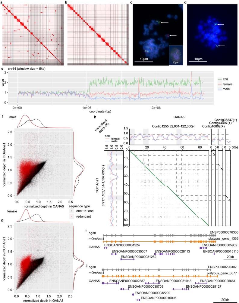 https://cdn.ncbi.nlm.nih.gov/pmc/blobs/7364/8081666/e0fbdeefbbf9/41586_2020_3039_Fig5_ESM.jpg