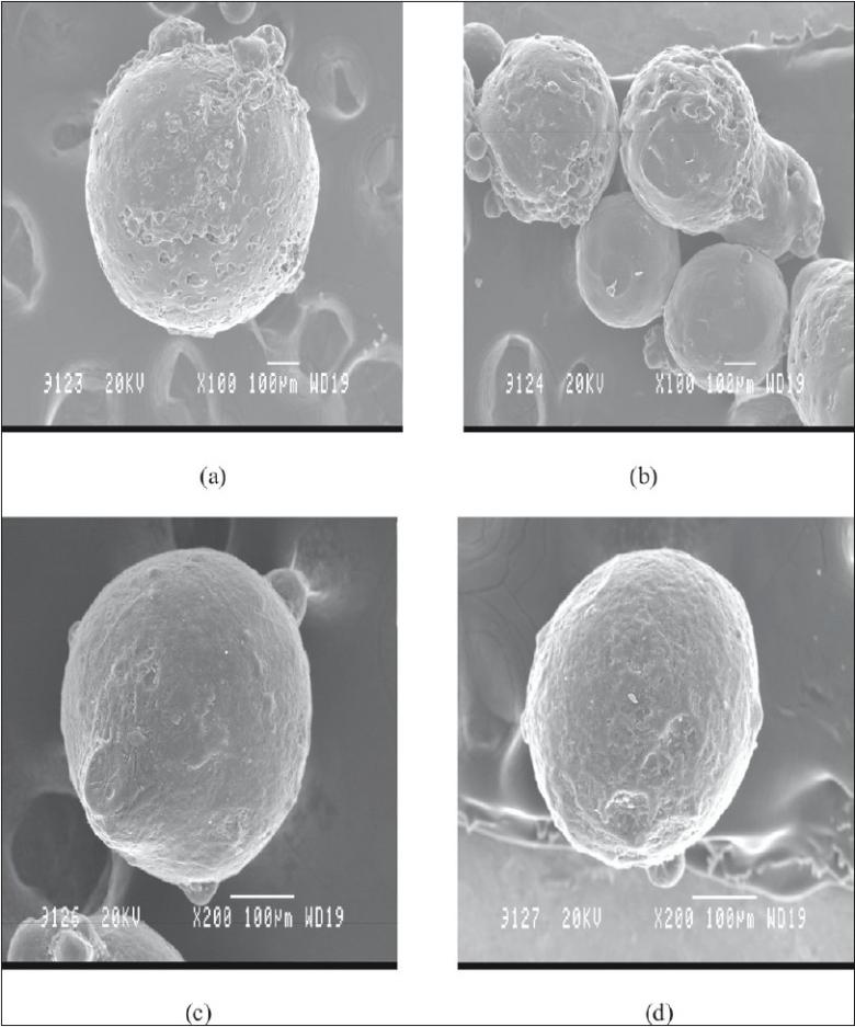 https://cdn.ncbi.nlm.nih.gov/pmc/blobs/7366/2865826/3fd7e12dfcad/IJPhS-71-464-g001.jpg