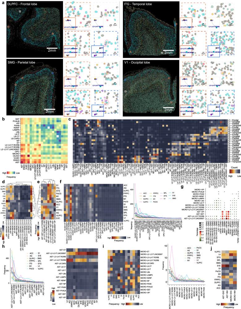 https://cdn.ncbi.nlm.nih.gov/pmc/blobs/7368/12365125/5190a9cf1691/41467_2025_62793_Fig6_HTML.jpg