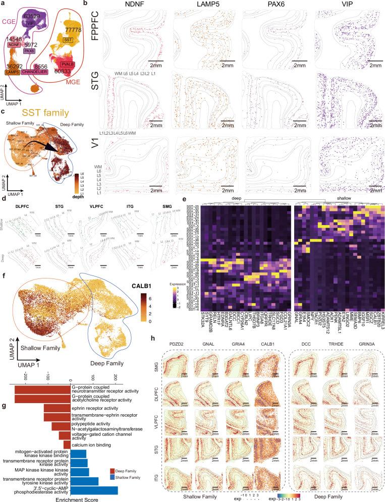 https://cdn.ncbi.nlm.nih.gov/pmc/blobs/7368/12365125/e95f3d0c040e/41467_2025_62793_Fig5_HTML.jpg