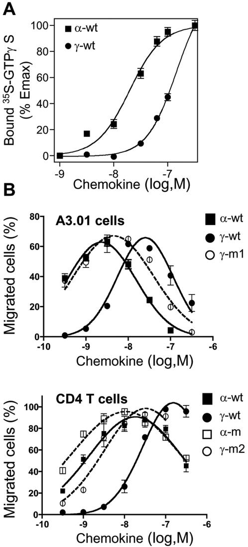 https://cdn.ncbi.nlm.nih.gov/pmc/blobs/7368/2481281/299e59d655b0/pone.0002543.g005.jpg