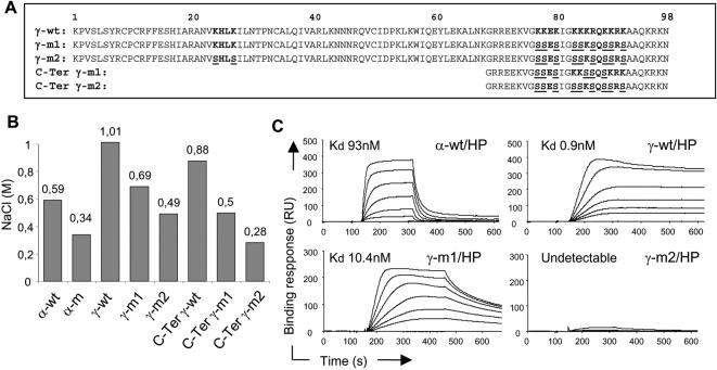 https://cdn.ncbi.nlm.nih.gov/pmc/blobs/7368/2481281/d387ac3f3b2c/pone.0002543.g002.jpg