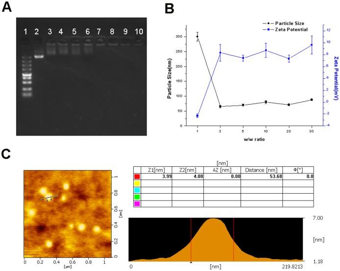 https://cdn.ncbi.nlm.nih.gov/pmc/blobs/736a/3716693/89887b671609/pone.0068651.g003.jpg