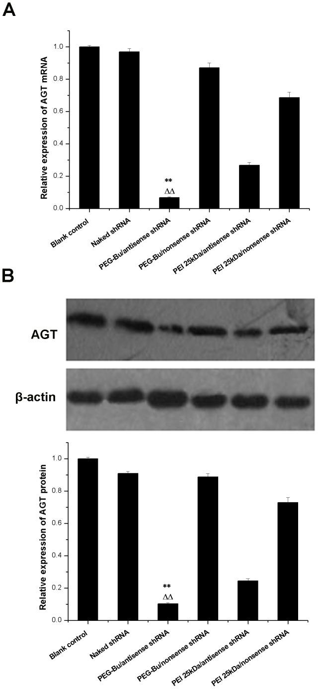 https://cdn.ncbi.nlm.nih.gov/pmc/blobs/736a/3716693/f0c476c789bc/pone.0068651.g007.jpg