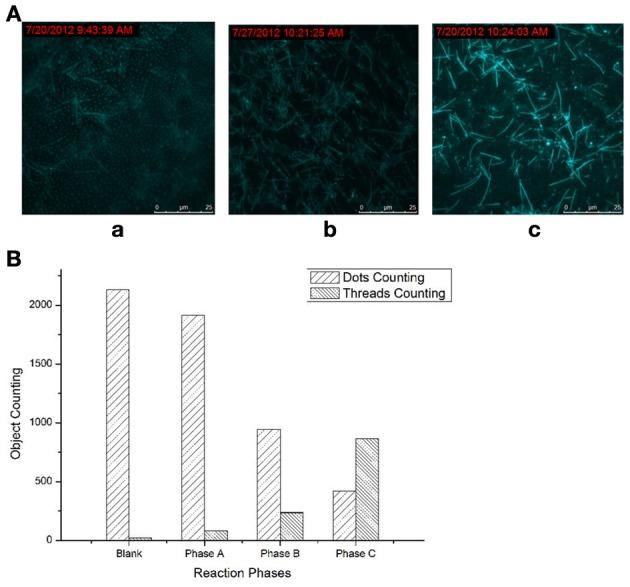 https://cdn.ncbi.nlm.nih.gov/pmc/blobs/736a/3982516/40d40707a21b/fchem-01-00023-g0001.jpg