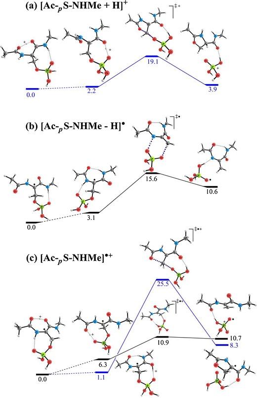 https://cdn.ncbi.nlm.nih.gov/pmc/blobs/736b/3514703/6901bc8cedc2/13361_2012_479_Fig5_HTML.jpg