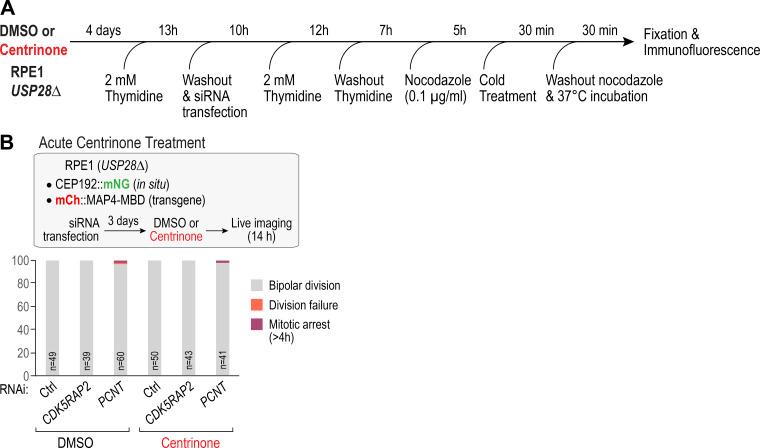 https://cdn.ncbi.nlm.nih.gov/pmc/blobs/736d/7658699/ad85e4a6e09b/JCB_202006010_FigS2.jpg