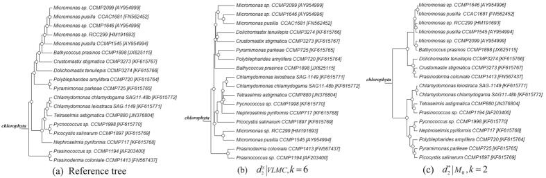 https://cdn.ncbi.nlm.nih.gov/pmc/blobs/736e/5120338/f28632320f9c/srep37243-f2.jpg
