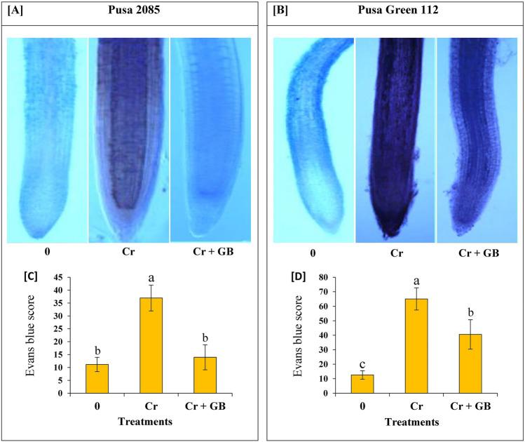 https://cdn.ncbi.nlm.nih.gov/pmc/blobs/736e/9107477/4d1f8dee9d91/41598_2022_11869_Fig3_HTML.jpg