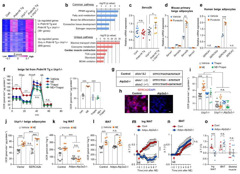 https://cdn.ncbi.nlm.nih.gov/pmc/blobs/7371/5727902/759f3ddcf8be/nihms908079f2.jpg