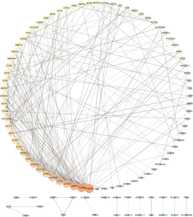 https://cdn.ncbi.nlm.nih.gov/pmc/blobs/7373/10176947/5b5207b4452a/12920_2023_1531_Fig4_HTML.jpg