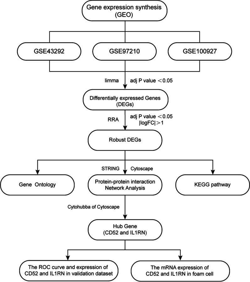 https://cdn.ncbi.nlm.nih.gov/pmc/blobs/7373/10176947/9e5c0019c148/12920_2023_1531_Fig1_HTML.jpg