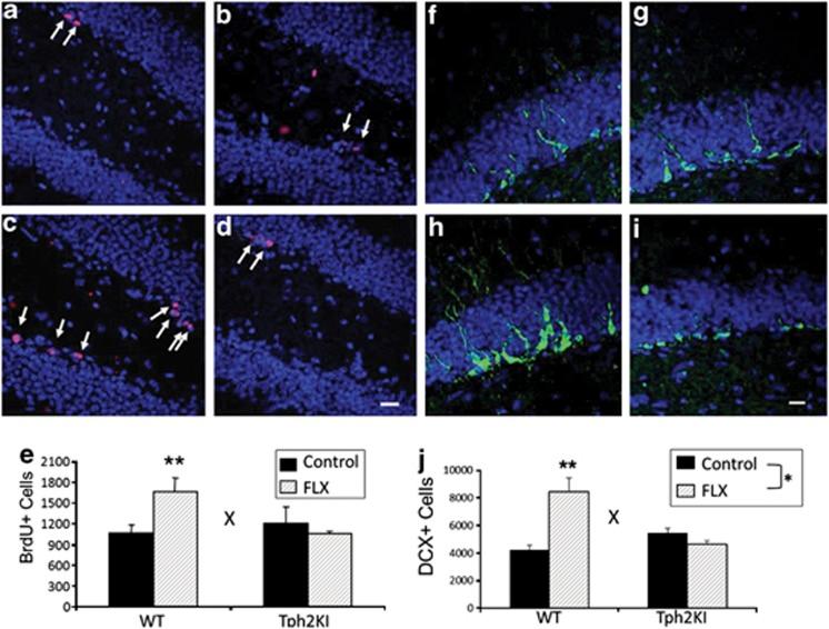 https://cdn.ncbi.nlm.nih.gov/pmc/blobs/7374/3756292/955fe0ff59c3/tp201365f3.jpg