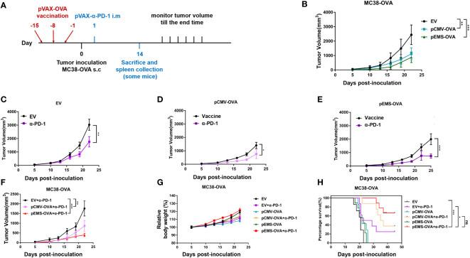 https://cdn.ncbi.nlm.nih.gov/pmc/blobs/7376/10150030/0260305c96bd/fimmu-14-1169850-g002.jpg