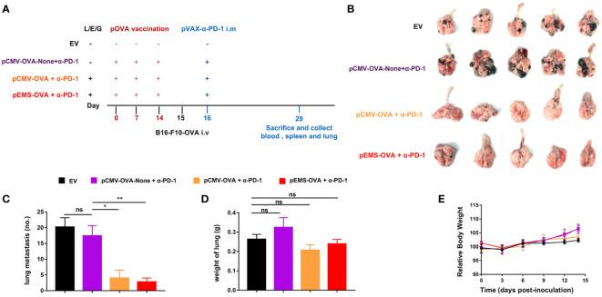https://cdn.ncbi.nlm.nih.gov/pmc/blobs/7376/10150030/3ceadfe2ad2f/fimmu-14-1169850-g004.jpg