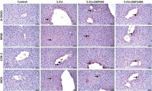 https://cdn.ncbi.nlm.nih.gov/pmc/blobs/7376/11994222/0b99a4a6fc2b/j_abm-2025-0006_fig_007.jpg
