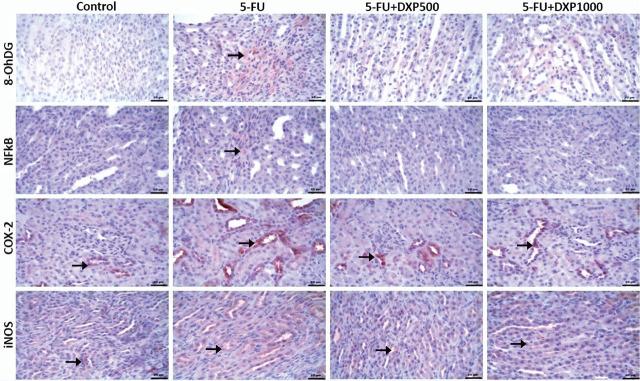 https://cdn.ncbi.nlm.nih.gov/pmc/blobs/7376/11994222/415bcdd1e6aa/j_abm-2025-0006_fig_008.jpg