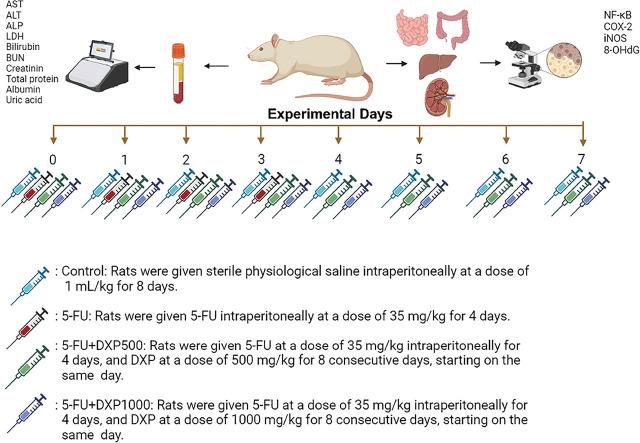 https://cdn.ncbi.nlm.nih.gov/pmc/blobs/7376/11994222/51a6335b3b47/j_abm-2025-0006_fig_001.jpg