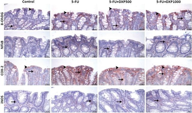 https://cdn.ncbi.nlm.nih.gov/pmc/blobs/7376/11994222/a8afb79a4e6c/j_abm-2025-0006_fig_010.jpg